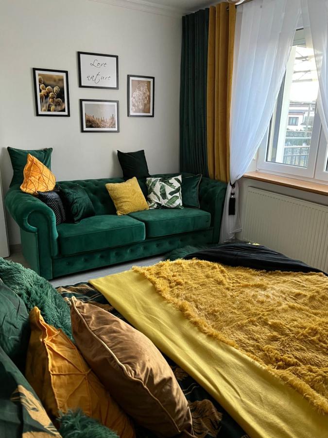 Comfort Zone B Apartment